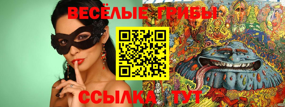 Удомля  Галлюциногенные грибы MAGIC MUSHROOMS  Вход с VPN 