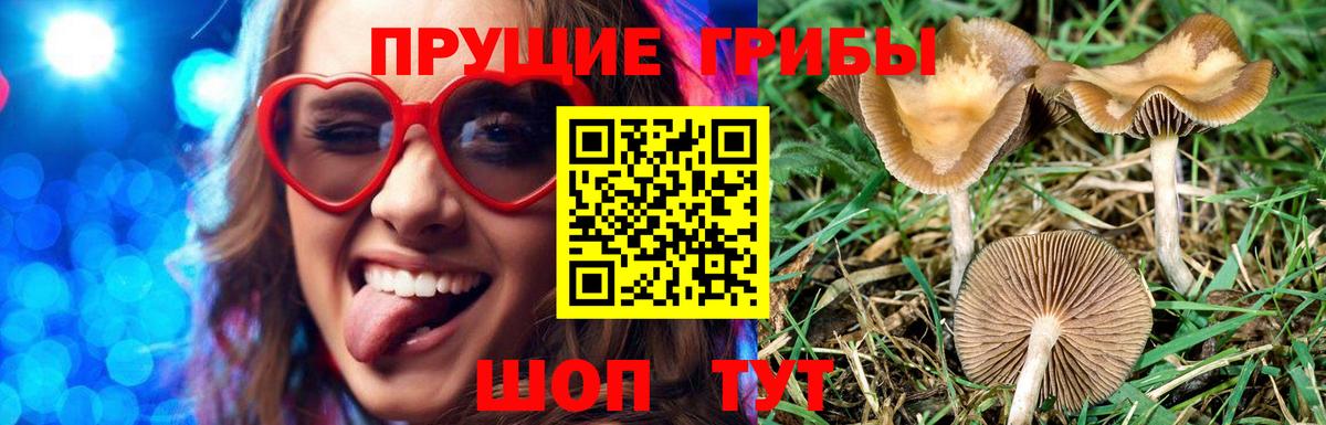Галлюциногенные грибы мицелий Удомля